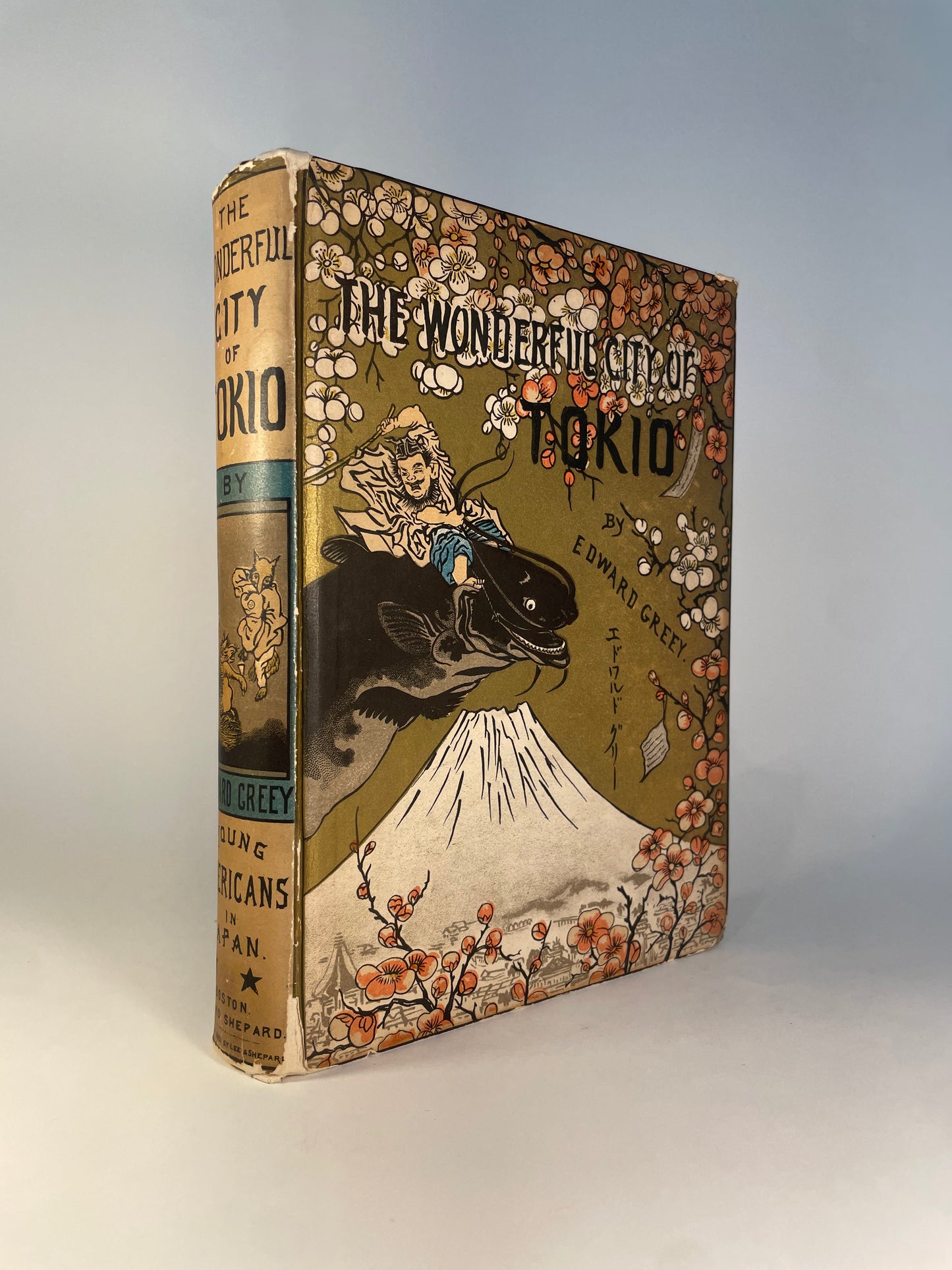 The Wonderful City of Tokio